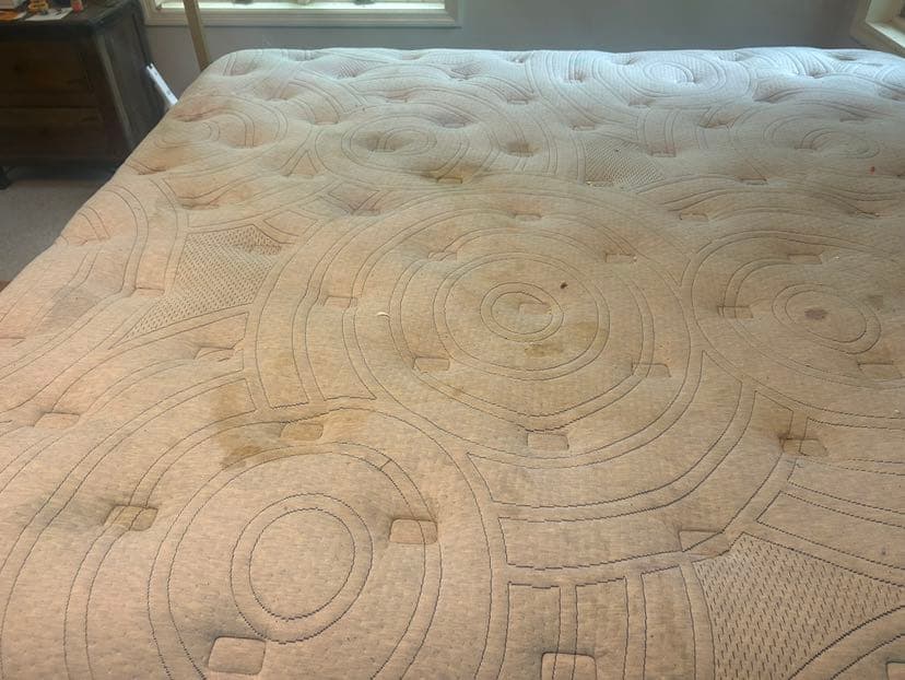 Mattress with urine staining across the sleep surface