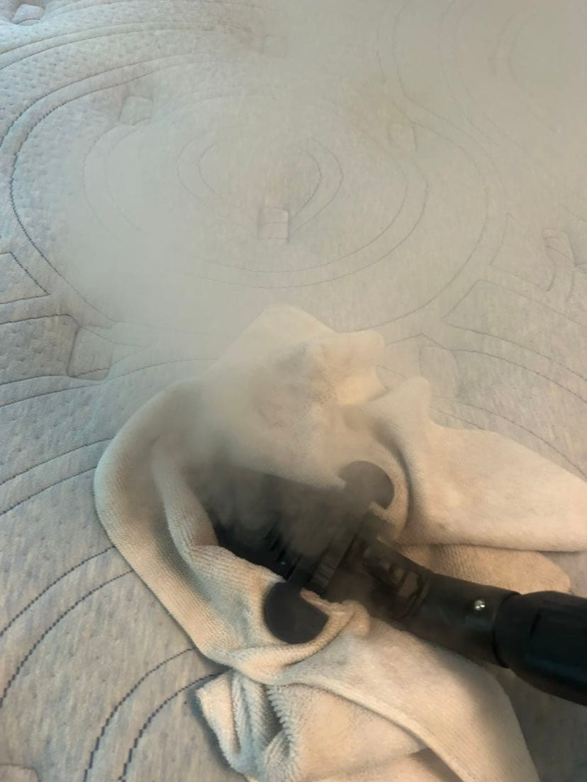 Visible steam rising off a mattress during dry vapor steam treatment